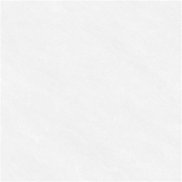 JDB08AP0356 雪芙蓉