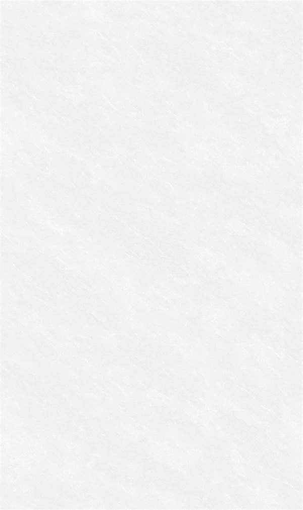 JHS773AP0356 雪芙蓉